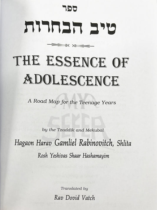 The Essence of Adolescence - A Road For The Teenage Years