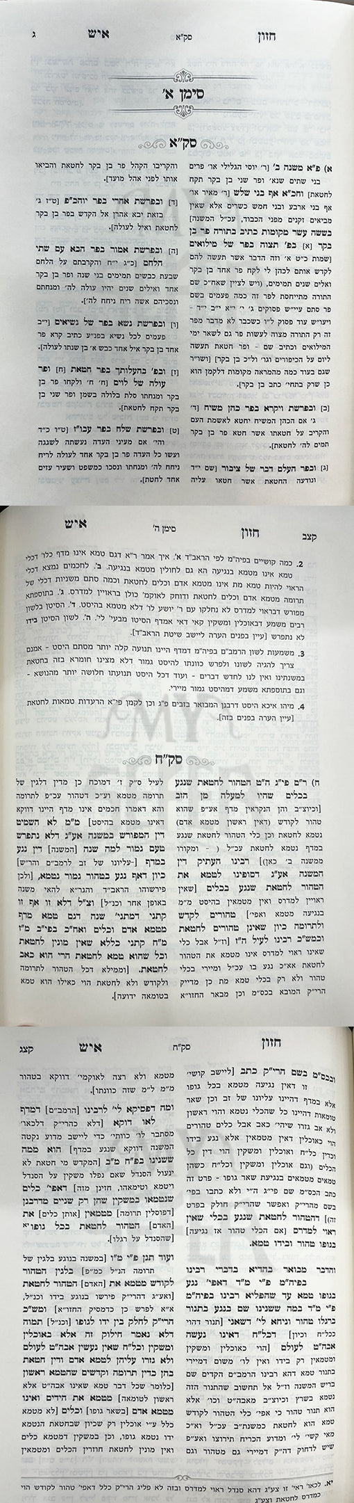 Chazon Ish Am Biur Meshulav - Avina Bemachazan