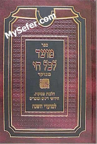 Moed Le'Kol Chai - Rabbi Chaim Palagi