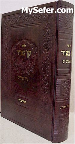 Kan Tzipor al Tehillim - Rabbi Yitzchak Isaac of Stretin