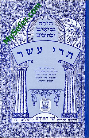 Trei Asar (Shay La'morah Edition)