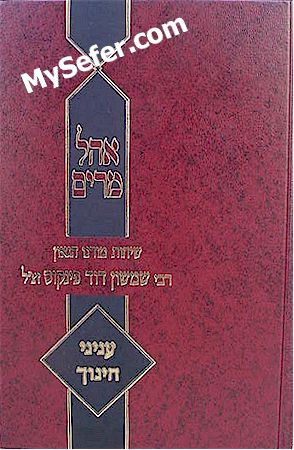 Inyanei Chinuch - Rabbi Shimshon David Pinkus