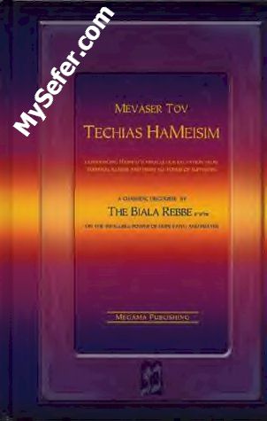 Mevaser Tov: Maamar Techias HaMeisim (English)