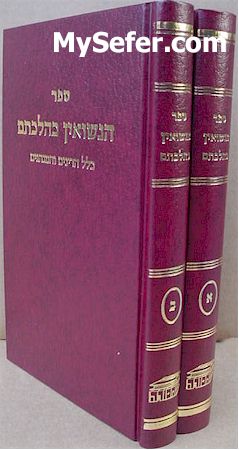 HaNisuin Ke'Hilchatan : Rabbi Binyamin Adler (2 vol.)