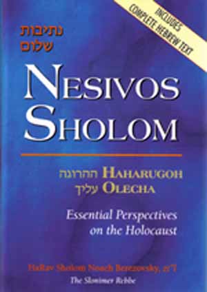 Nesivos Sholom: Essential Perspectives on the Holocaust