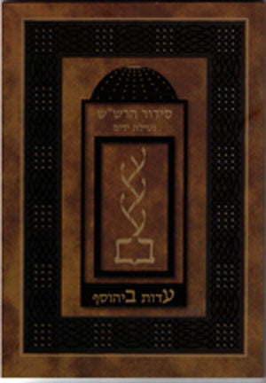 Siddur HaRashash in color: Netilat Yadayim