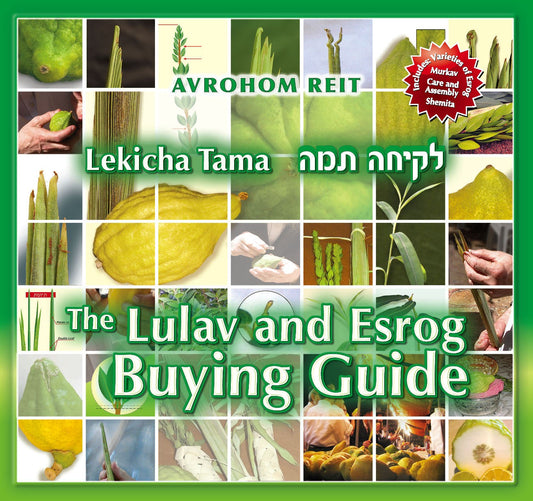 Lekicha Tama - The Lulav and Esrog Buying Guide