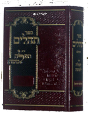 Tehillim Peyrush Tefillah L'Moshe : Rabbi Moshe Teitelbaum