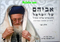Avihem She'Bashamayim - Harav Mordechai Eliyahu (Vol 2 )