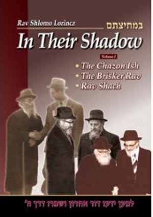 In Their Shadow - Vol 1