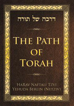 The Path of Torah : The Introduction to Ha'amek She'elah