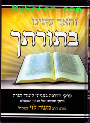 Vehaer Enenu BeToratecha - Rabbi Moshe Levy ( Limud HaTorah)