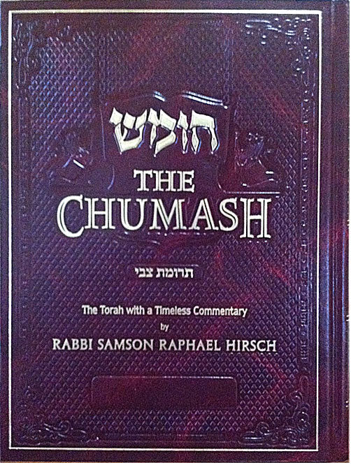 The Chumash (Trumath Tzvi) -- with Rabbi S.R. Hirsch Commentary