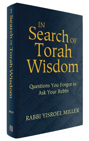 In Search of Torah Wisdom : Questions You Forgot to Ask Your Rebbi