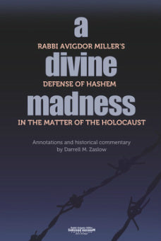 A Divine Madness : Rabbi Avigdor Miller on the Holocaust