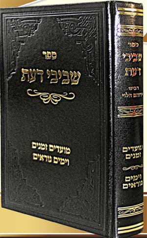 Shvivei Daat - Rabbi Yerucham Levovitz