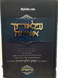 Nifleotecha Asicha : Shemot (Rabbi Yitzchak Zilberstein)