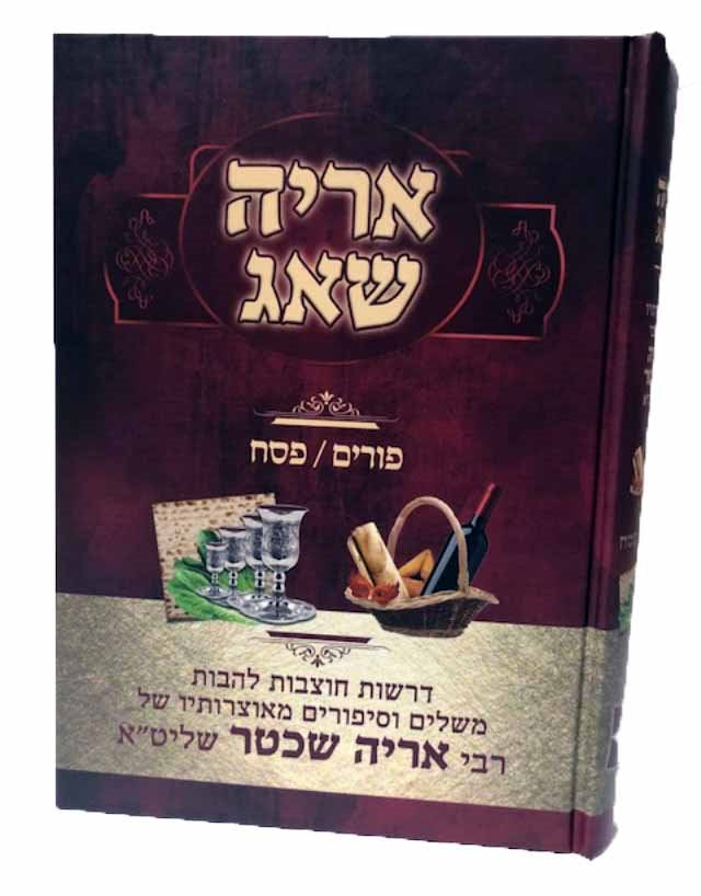 Aryeh shu'Ag Purim & Pesach - Rabbi Aryeh Shechter