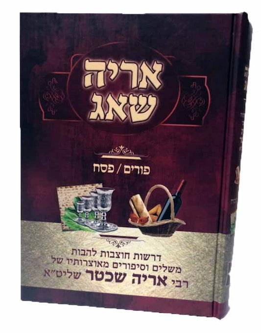 Aryeh shu'Ag Purim & Pesach - Rabbi Aryeh Shechter
