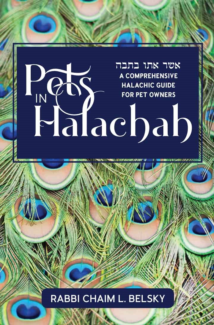 Pets in Halachah