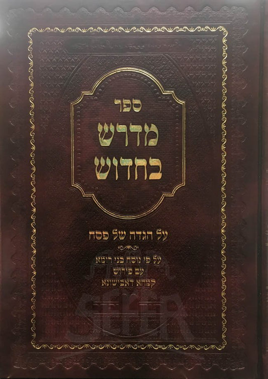 Midrash BeChidush al Haggadah Shel Pesach