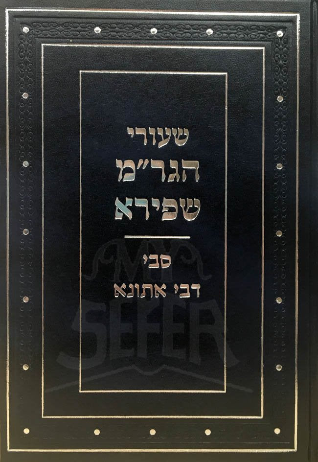 Shiurei Hagon Rabbi Moshe Shapiro - Sabei DeBei Atuna