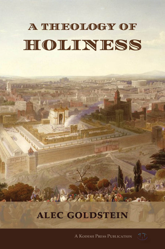 A Theology of Holiness (Hardcover)