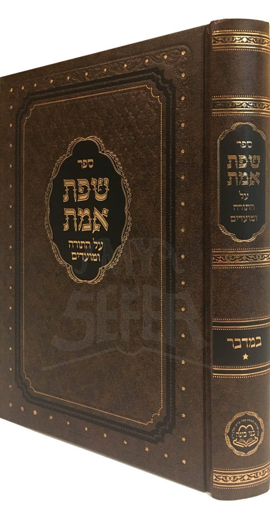 Sefat Emet al HaTorah - Bamidbar 1 (Bnei Binah Edition)