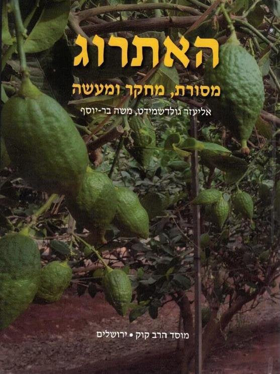 The Etrog Citron Tradition And Research