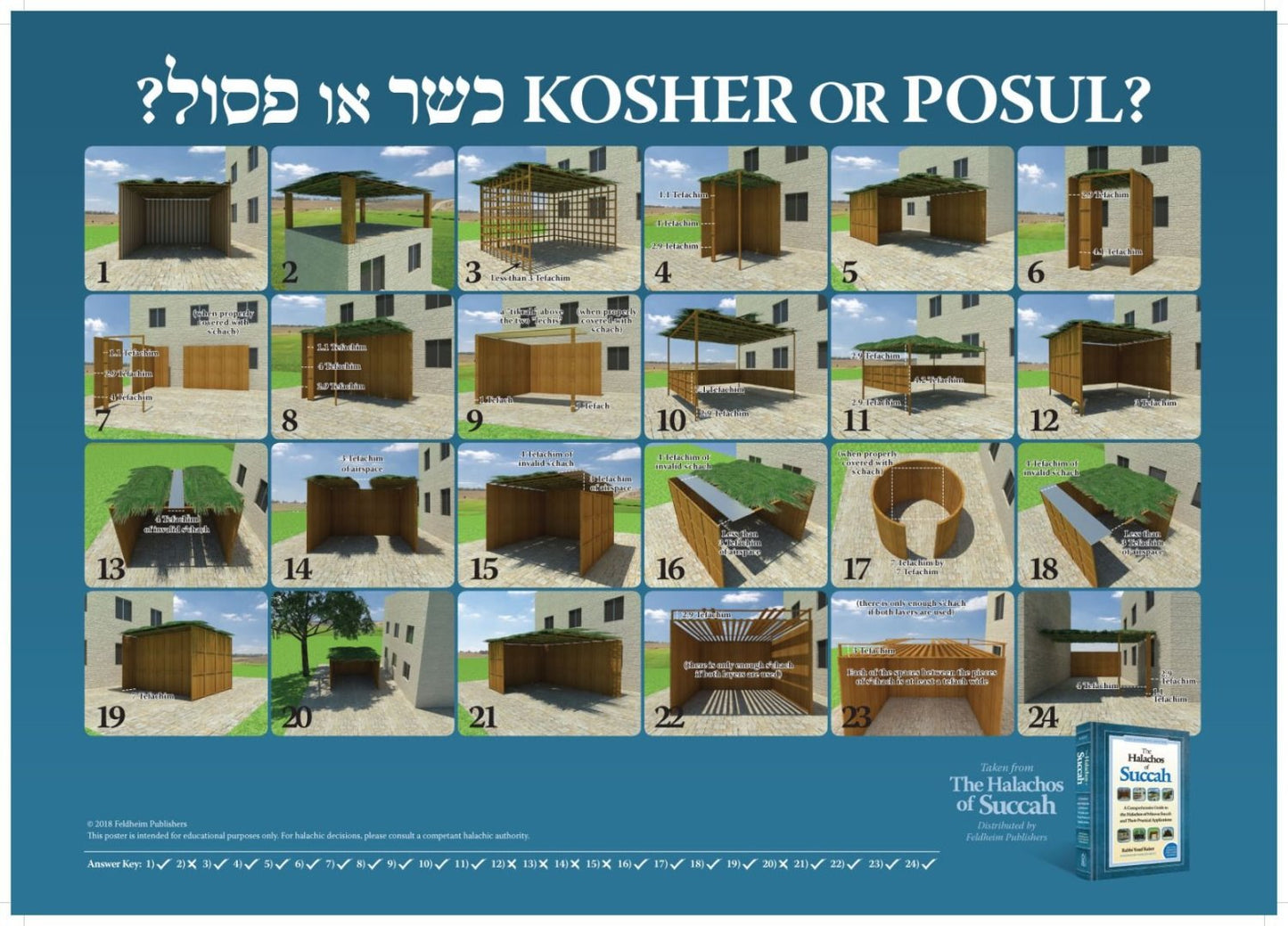 Halachos Of Succah Poster - Kosher Or Posul?