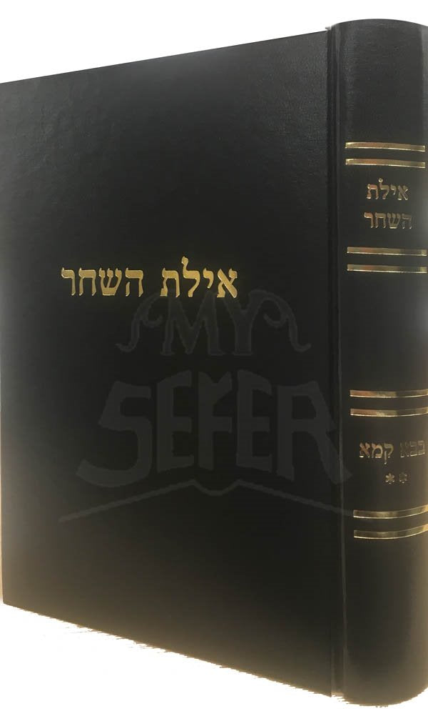 Avelert HaShachar - Baba Kama Vol.2