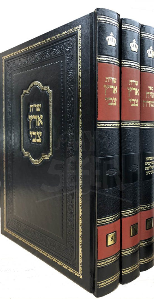 Sheelot UTeshuvot Eretz Tzvi 3 Volumes