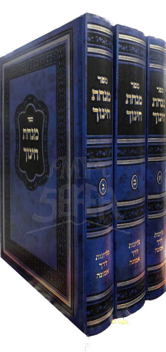 Michat Chinuch (Gilyonot Rabbi Chaim Kanievsky)