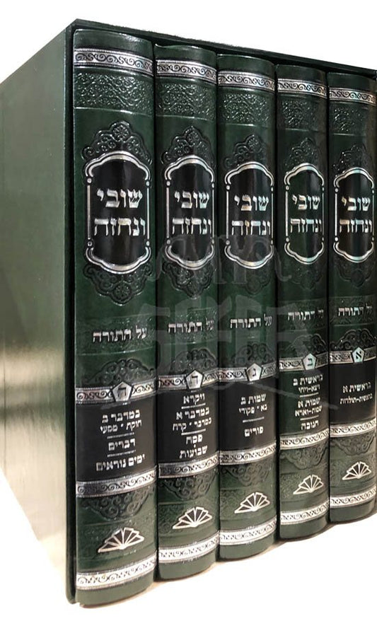 Shuvi VeNechezeh al HaTorah UMoadim (Rabbi Moshe Shapiro)