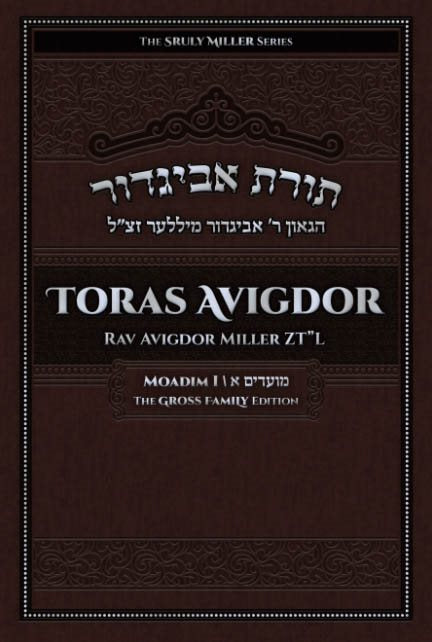 Toras Avigdor: Moadim I