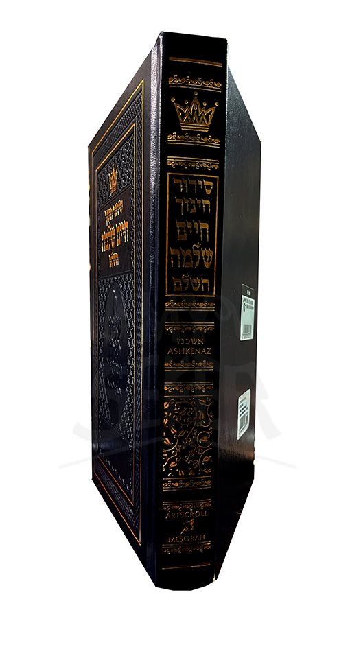 Siddur Chinuch-Chaim Shlomo Hashalem: Nusach Ashkenaz (Hebrew Edition)