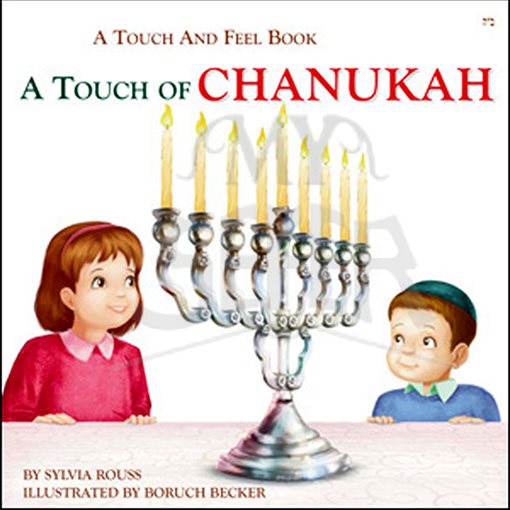 A Touch of Chanukah / A Touch and Feel Book