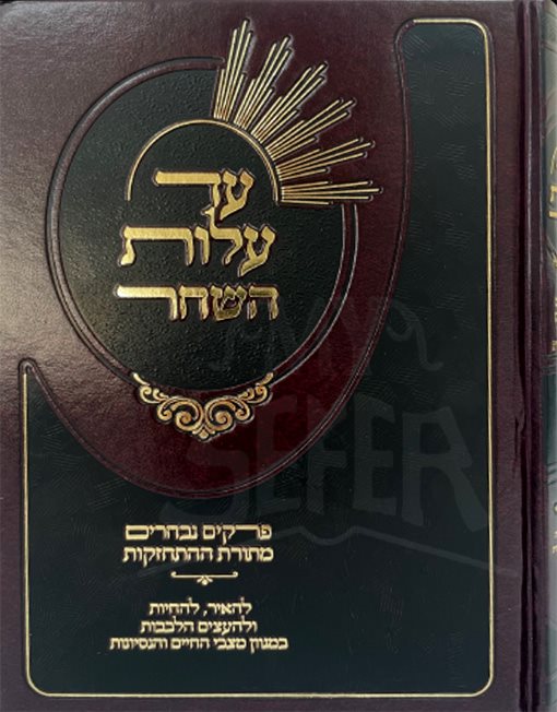 Ad Alot HaShachar - Rabbi Yechiel Mechel Pliskin