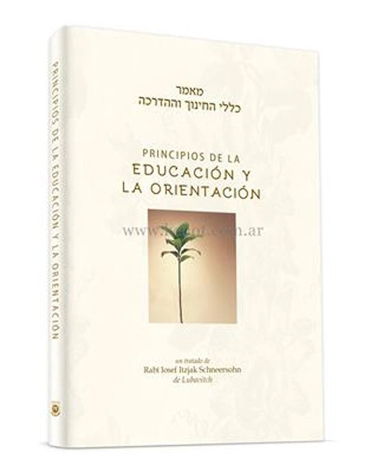 Principios de la Educación y la Orientación