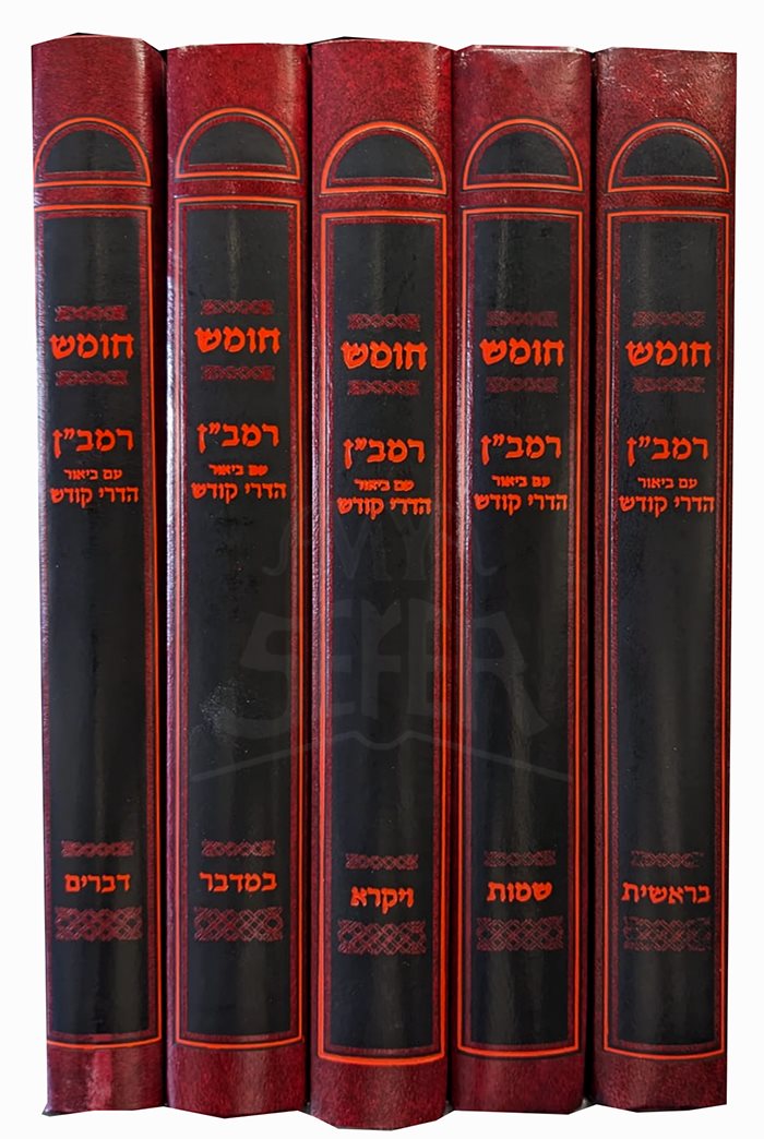 Chumash Rasbein Am Biur HaDari Kodesh - 5 Volume Set