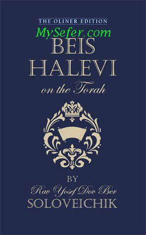 Beis Halevi on the Torah