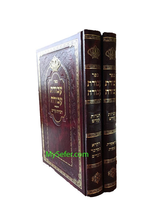 Avodat Avodah - Dibrot Kodesh al HaTorah : Tosh Rebbe (2 vol.)